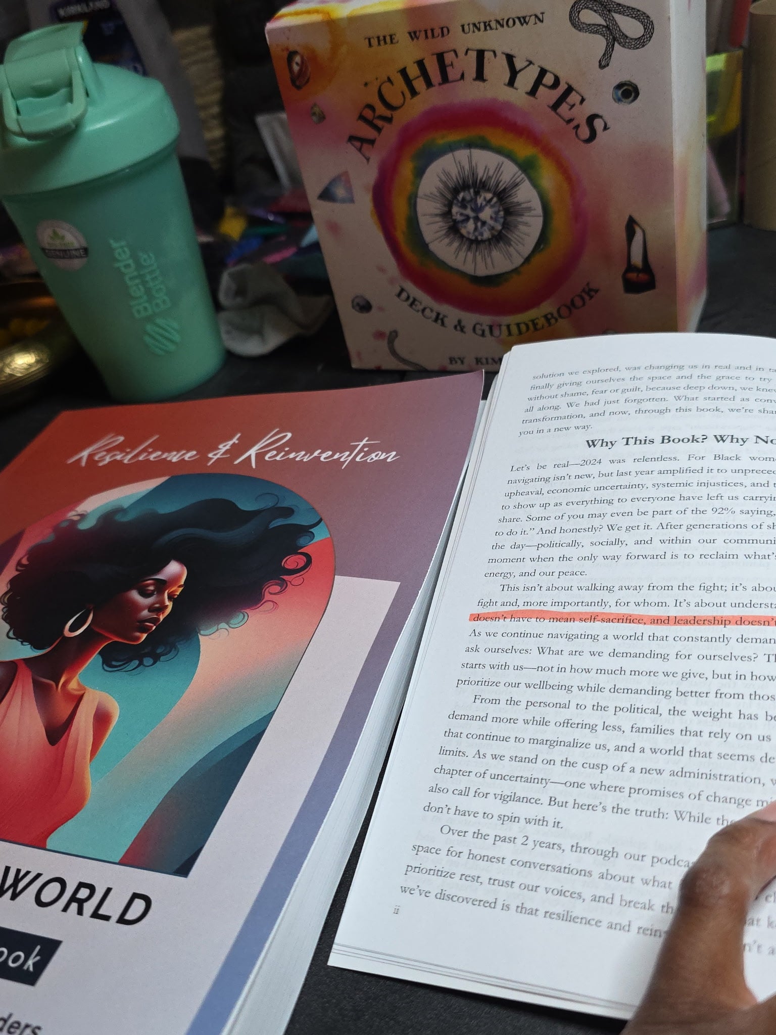 Resilience & Reinvention in a Chaotic World - 12th Summer